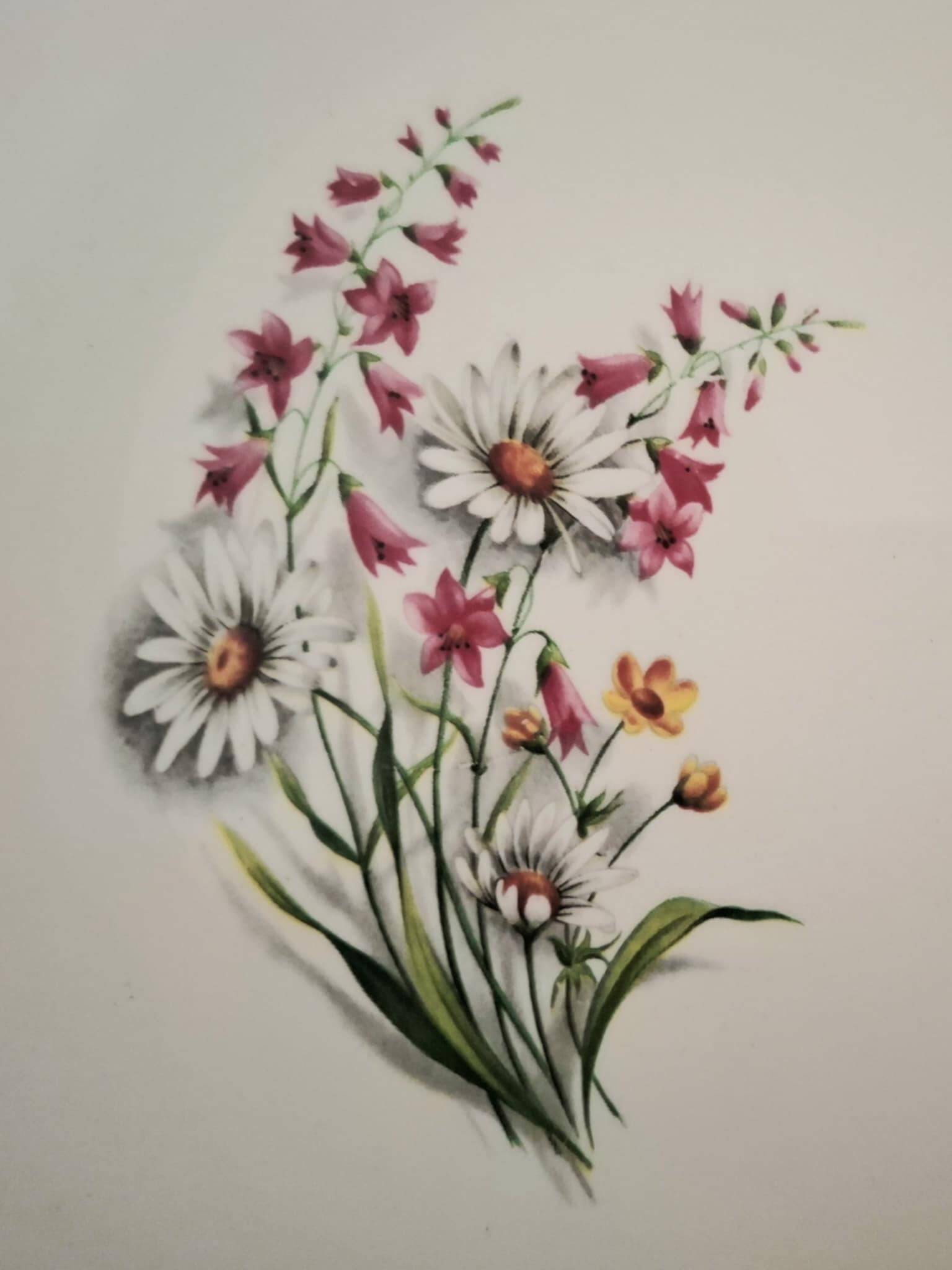 Vintage Floral Pattern Gien Earthenware Dinner Plates