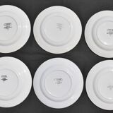 6 dessert plates Digoin Sarreguemines décor Cannes diameter 20.3 cm