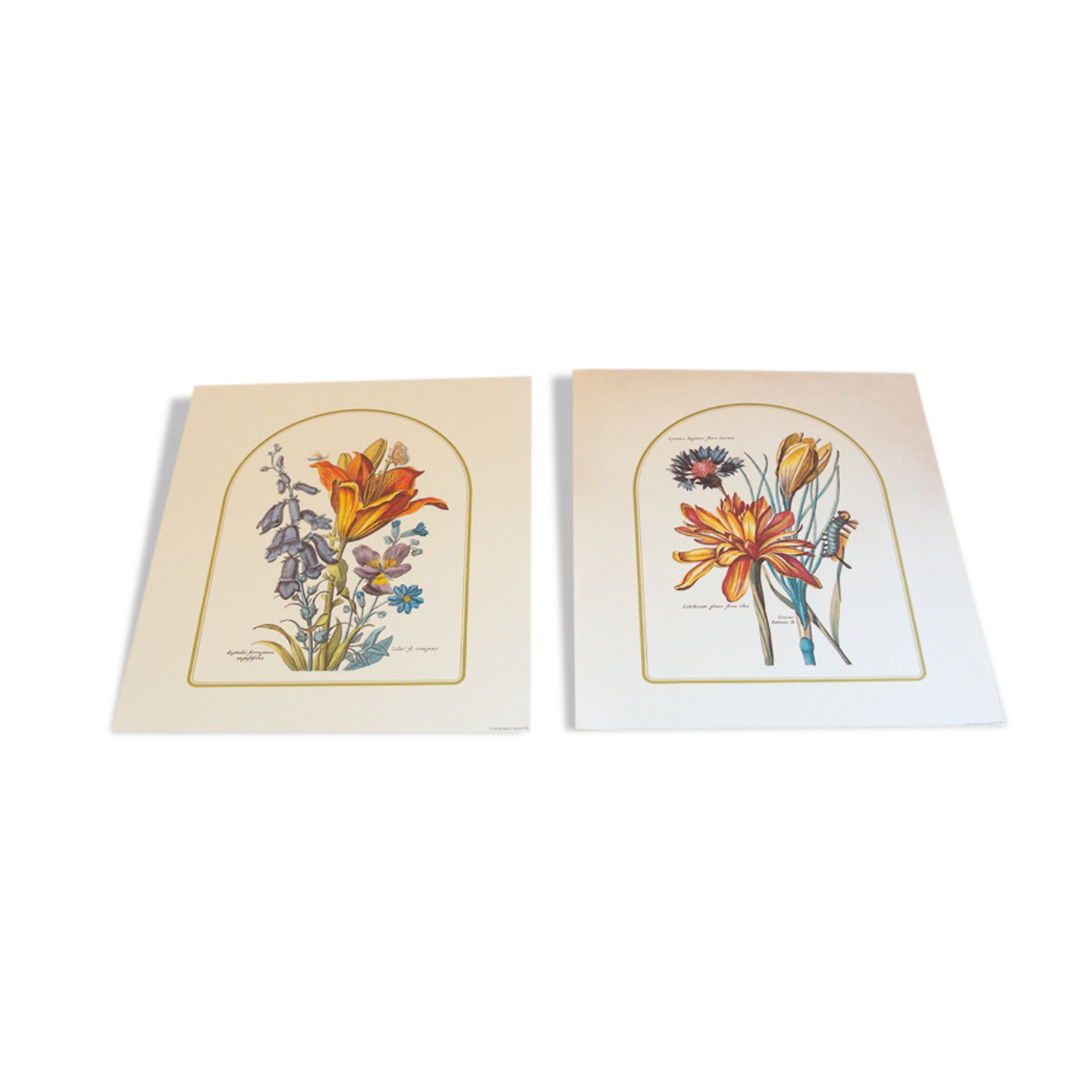 2 botanical plates from art and decor 104 serie 1