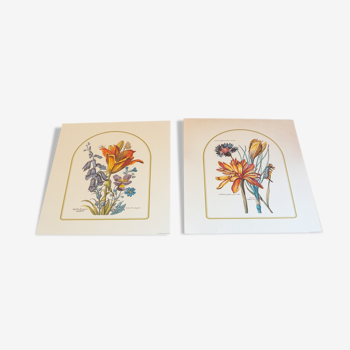 2 botanical plates from art and decor 104 serie 1