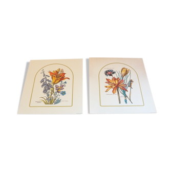 2 botanical plates from art and decor 104 serie 1