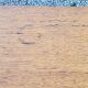 Vintage gold blond oak row 3 sliding doors
