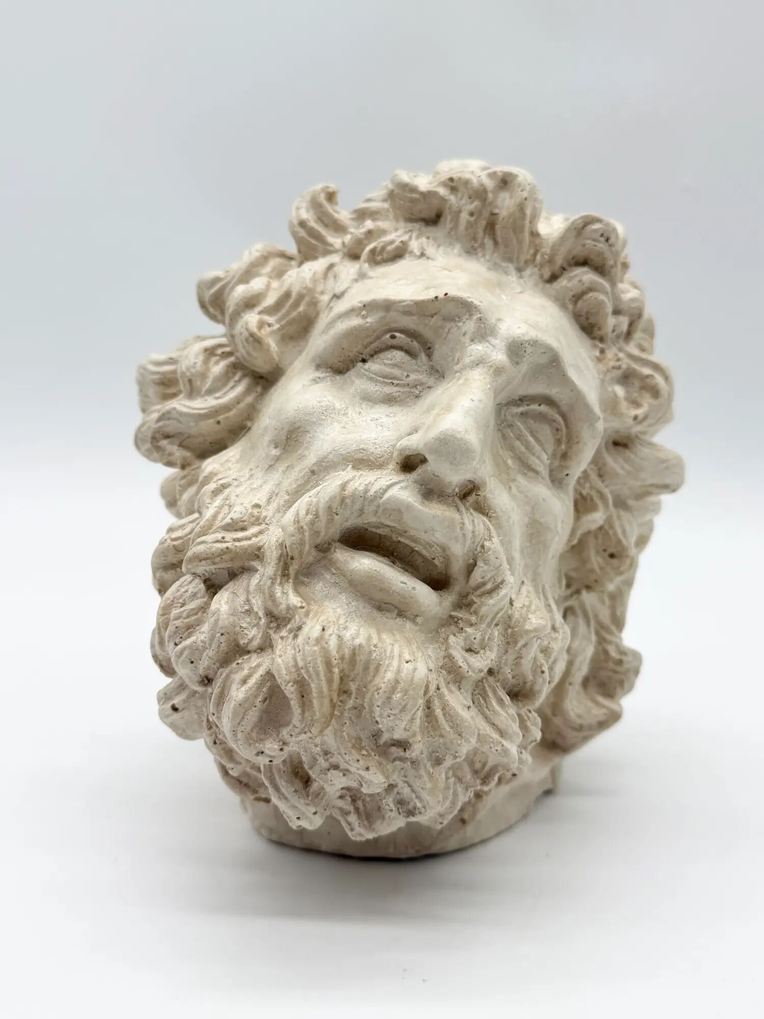 "Head of Laocoön" in plaster, contemporary reproduction, 20th century