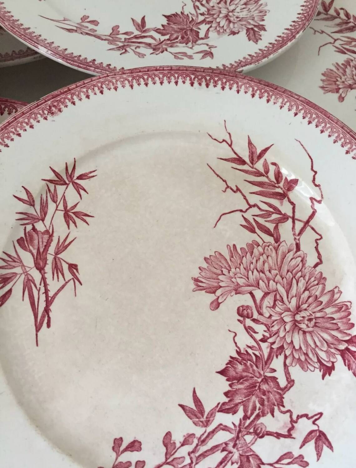 Assiette FF Pexonne Terre de Fer décor rose oiseaux XIX