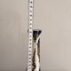 Ancient Persian Vase Iran Persia Qajar Bird Fish 19th Century