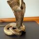Cobra sculptural lamp in brass – Vintage French work, circa 19