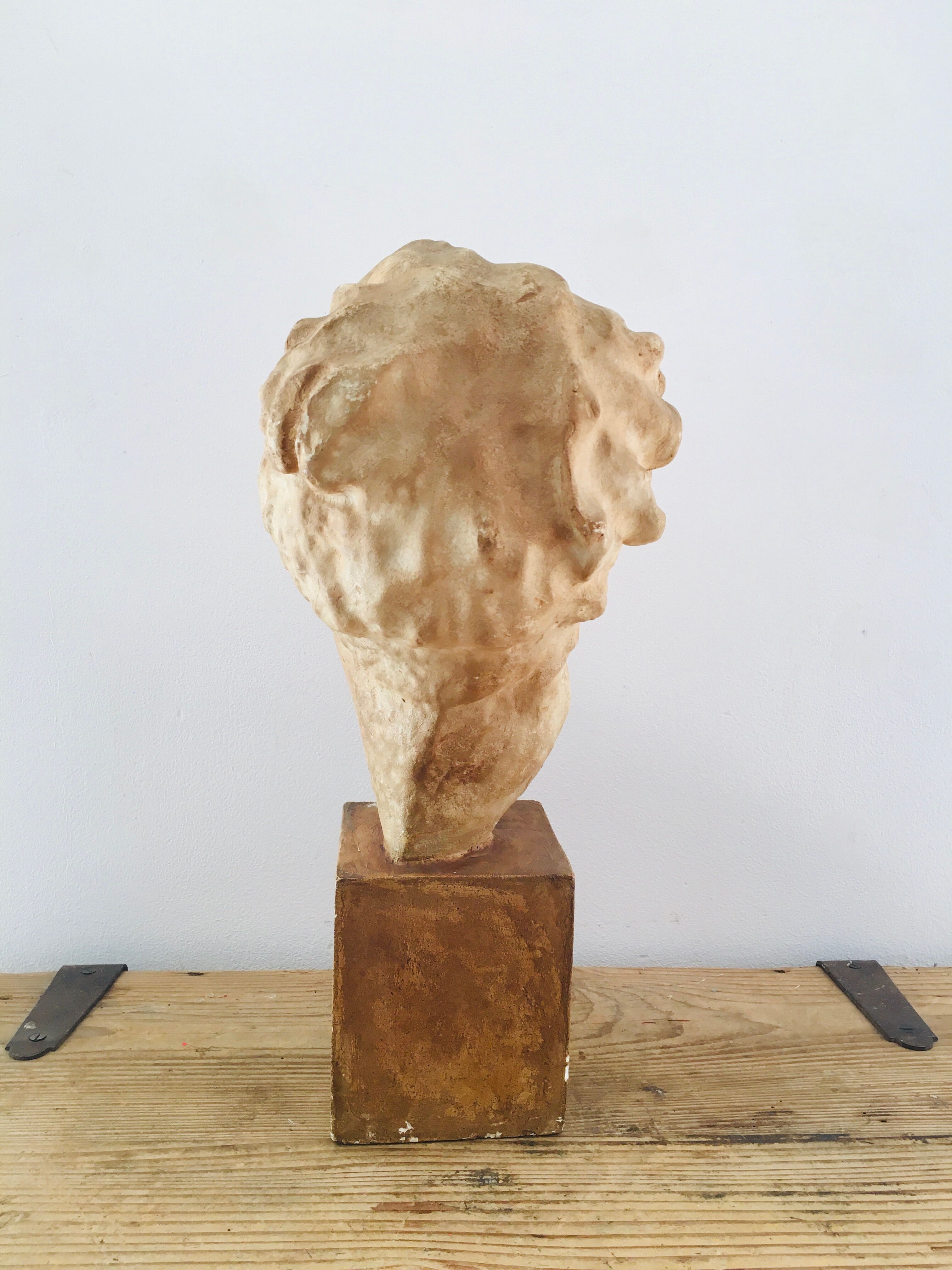 Plaster head goddess Hygie