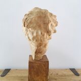 Plaster head goddess Hygie