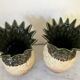 Paire de vases ananas en grès Rhoda