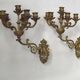 Pair Early 20th Century Rococo Revival Brass 5 Light Candle Wall Sconces