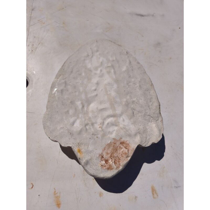 Plaster plaque of a Buddha Shiva head India