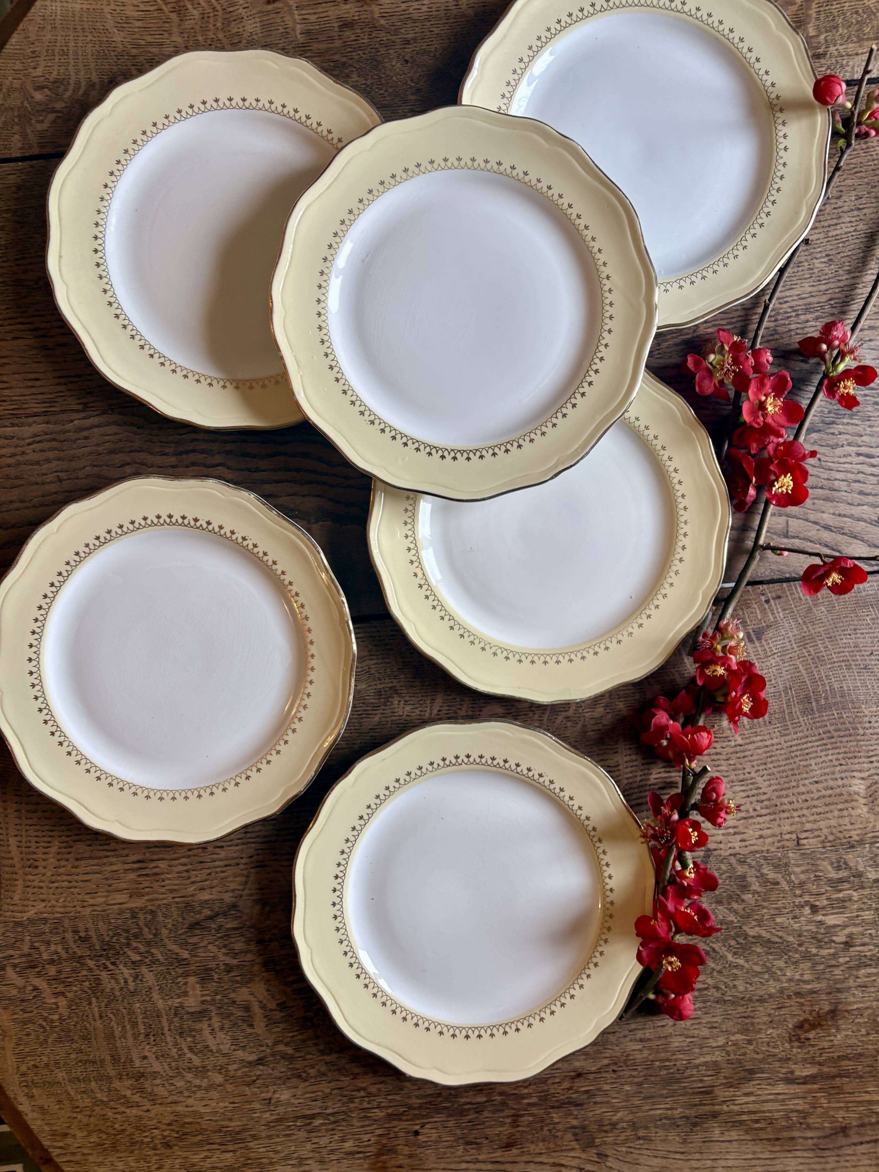 Set of 6 vintage white dinner plates with yellow and gold trim.