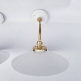 White opaline swan neck wall lights