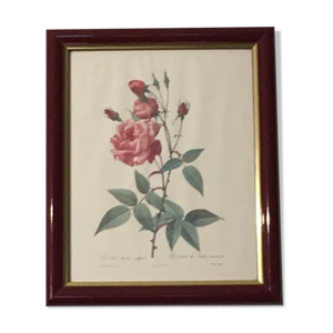 Tableau reproduction p.j. redoute.