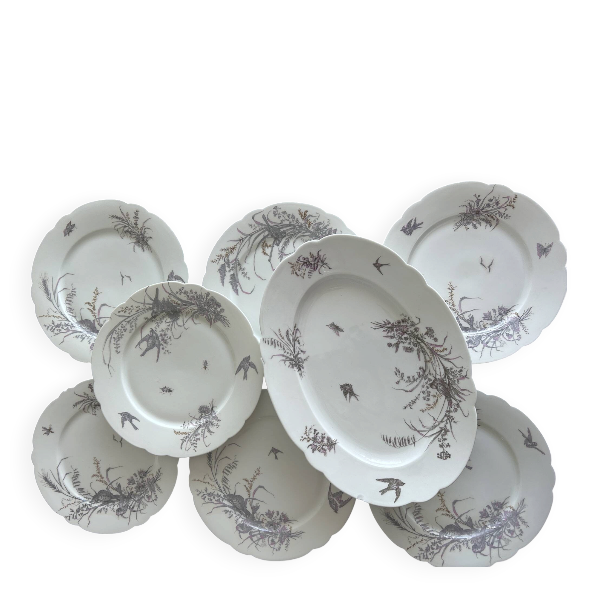 8 porcelain plates and 1 dish CH Pillivuyt & Cie