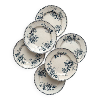 6 flat plates in iron earth “Acacia” Moulin des Loups and Hamage