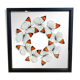 Butterfly frame