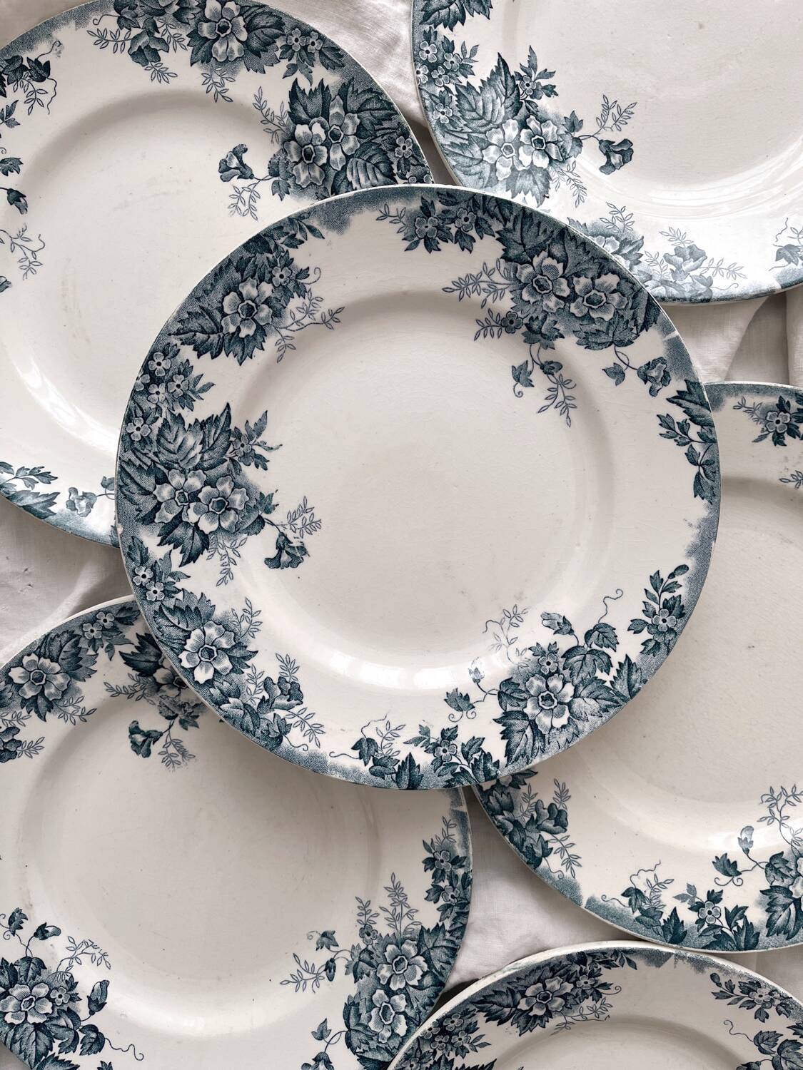 8 flat ironstone plates “Marie Louise” Saint Amand and Hamage