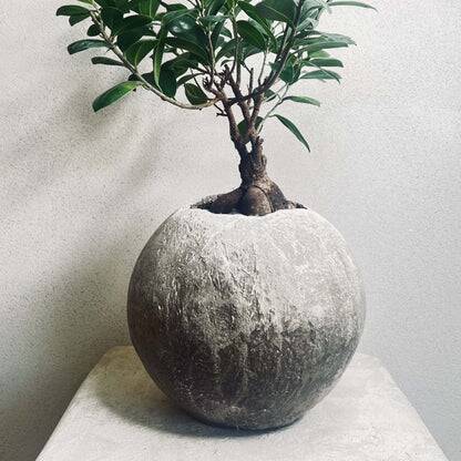 Kikai - artisanal pot in mineral cement