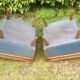 Cocktail chairs of Eastern country origin 60s