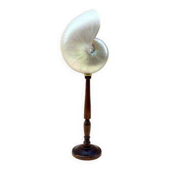 Large pearly Nautilus shell on turned wooden base, old vintage cabinet of curiosities