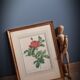 Litho Rosier Pont