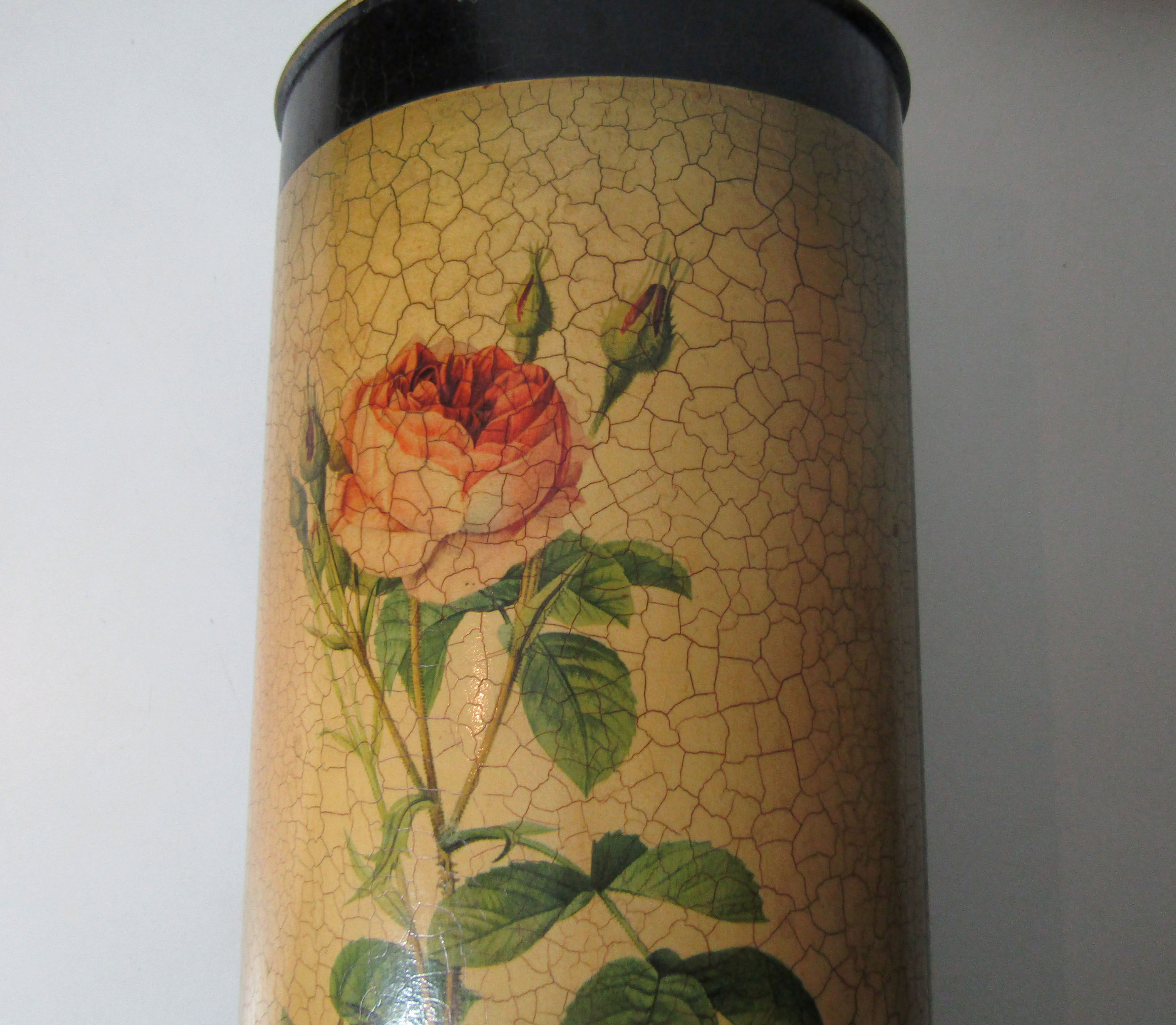 Former pink umbrella holder PJ Dreaded Vintage Botanical