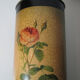 Former pink umbrella holder PJ Dreaded Vintage Botanical