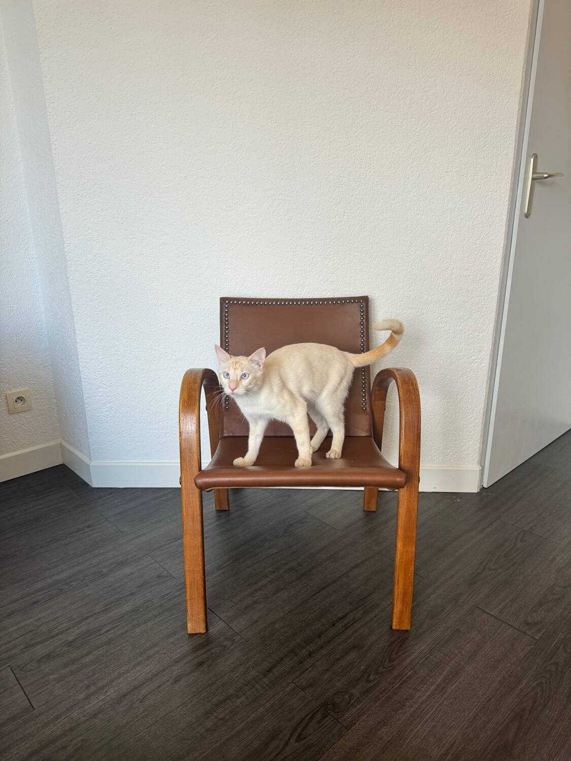 Fauteuil Vintage