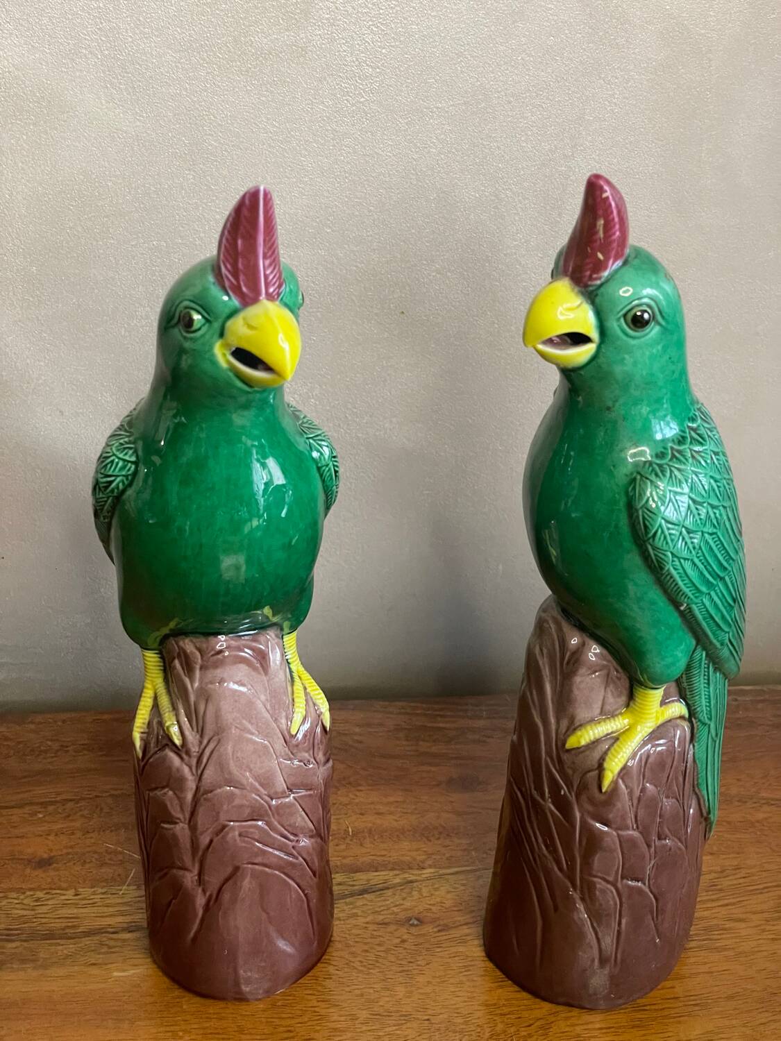 Pair of parrots