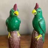 Pair of parrots