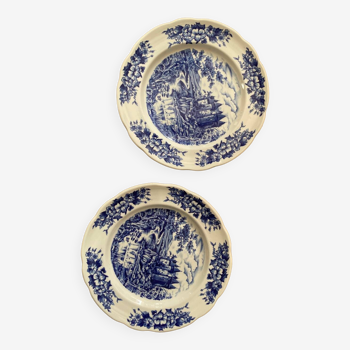 2 assiettes fleurs bleues BP