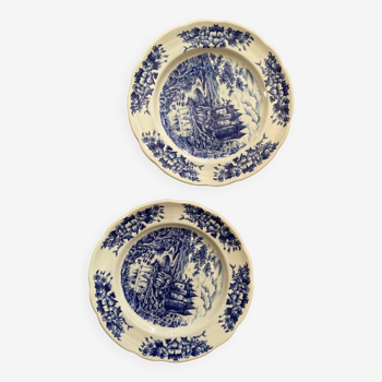 2 BP blue flower plates