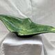 Ceramic catchall signed dimensions: height - 16 cm - width - 51 cm -