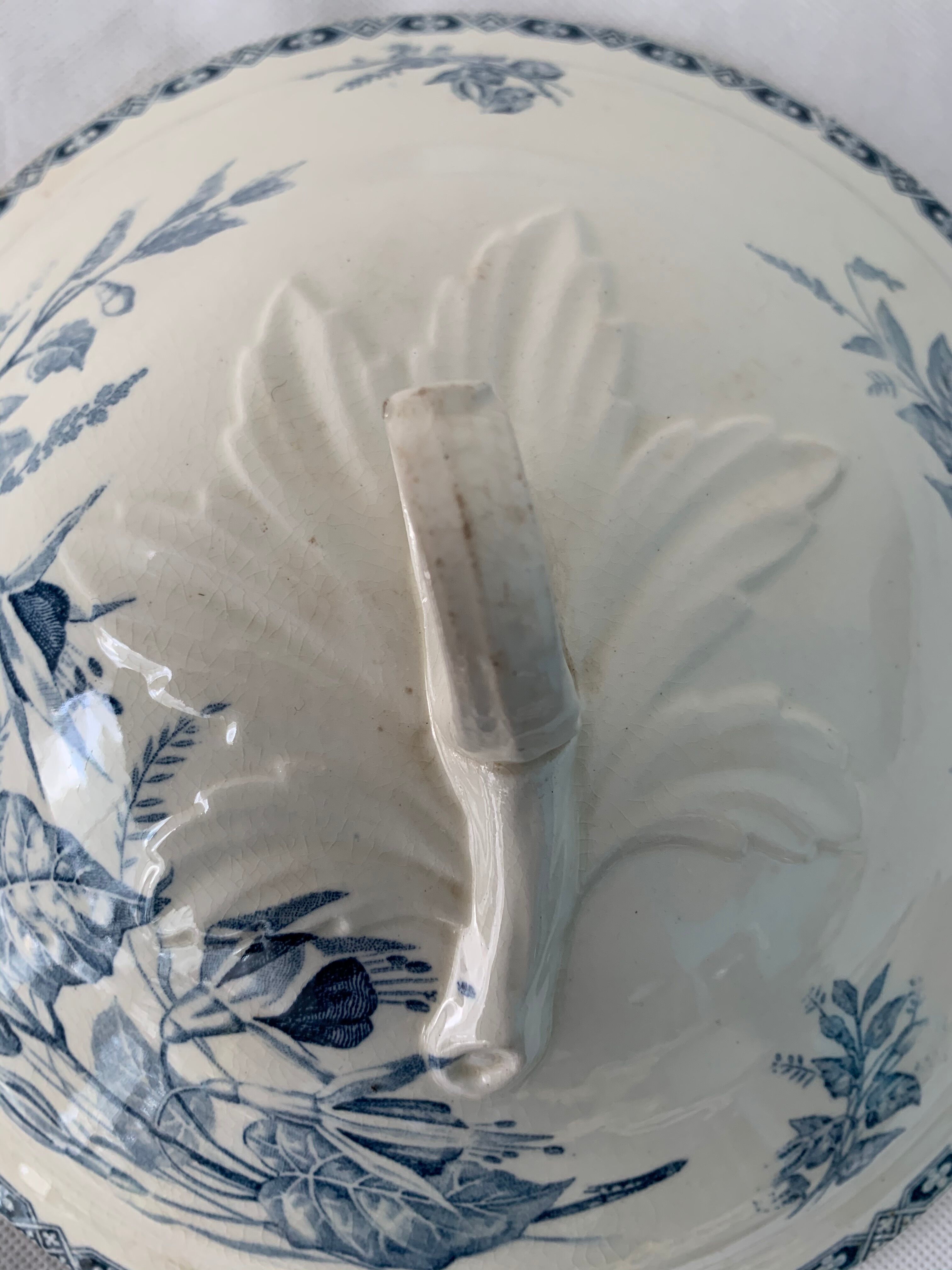 Old blue soup, Terre de Fer, martha model