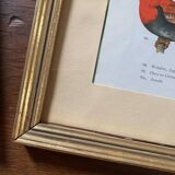 Ornithological frames “birds in cages”.