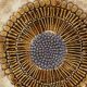Lisa Larson tile series Unik "Sunflower" - Gustavsberg