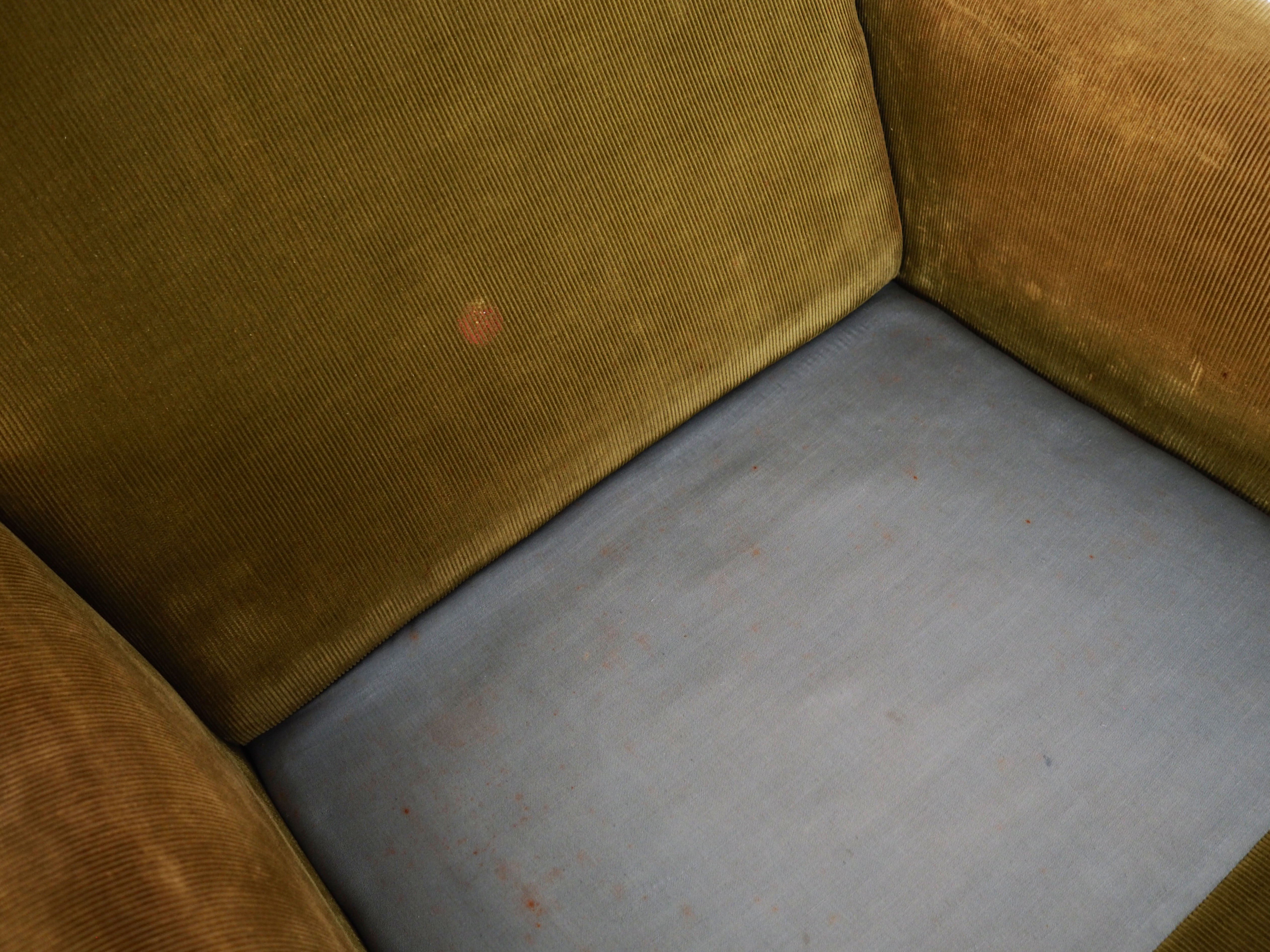 Fauteuil en hêtre, design scandinave, années 1960, designer : Folke Ohlsson, manufacture : Fritz Hansen