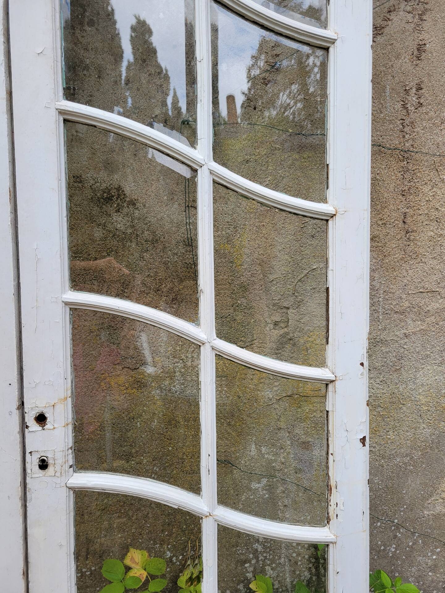 Art Nouveau double doors with small panes.
