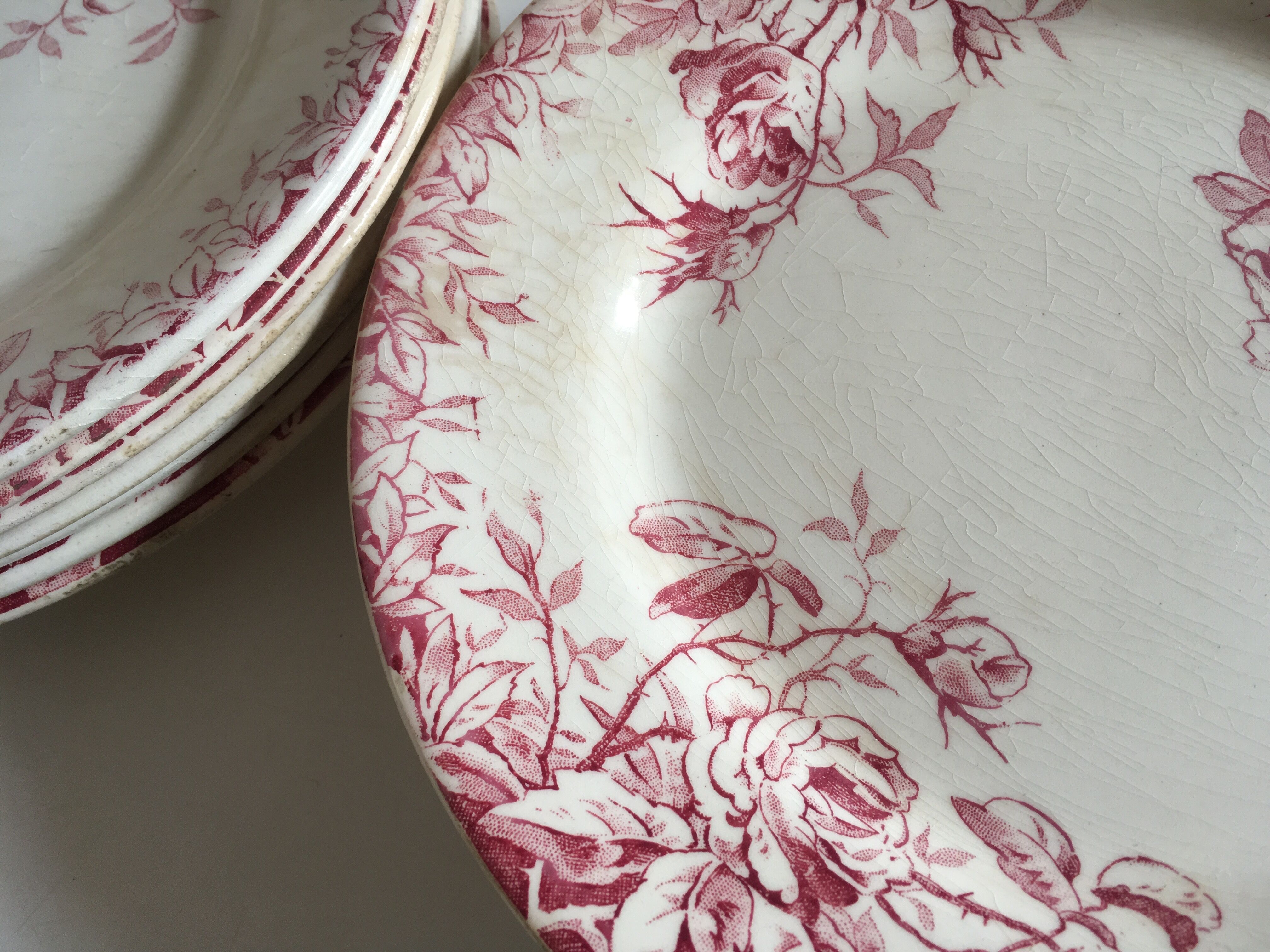 Series of 11 plates flat 19th in faience of Gien
