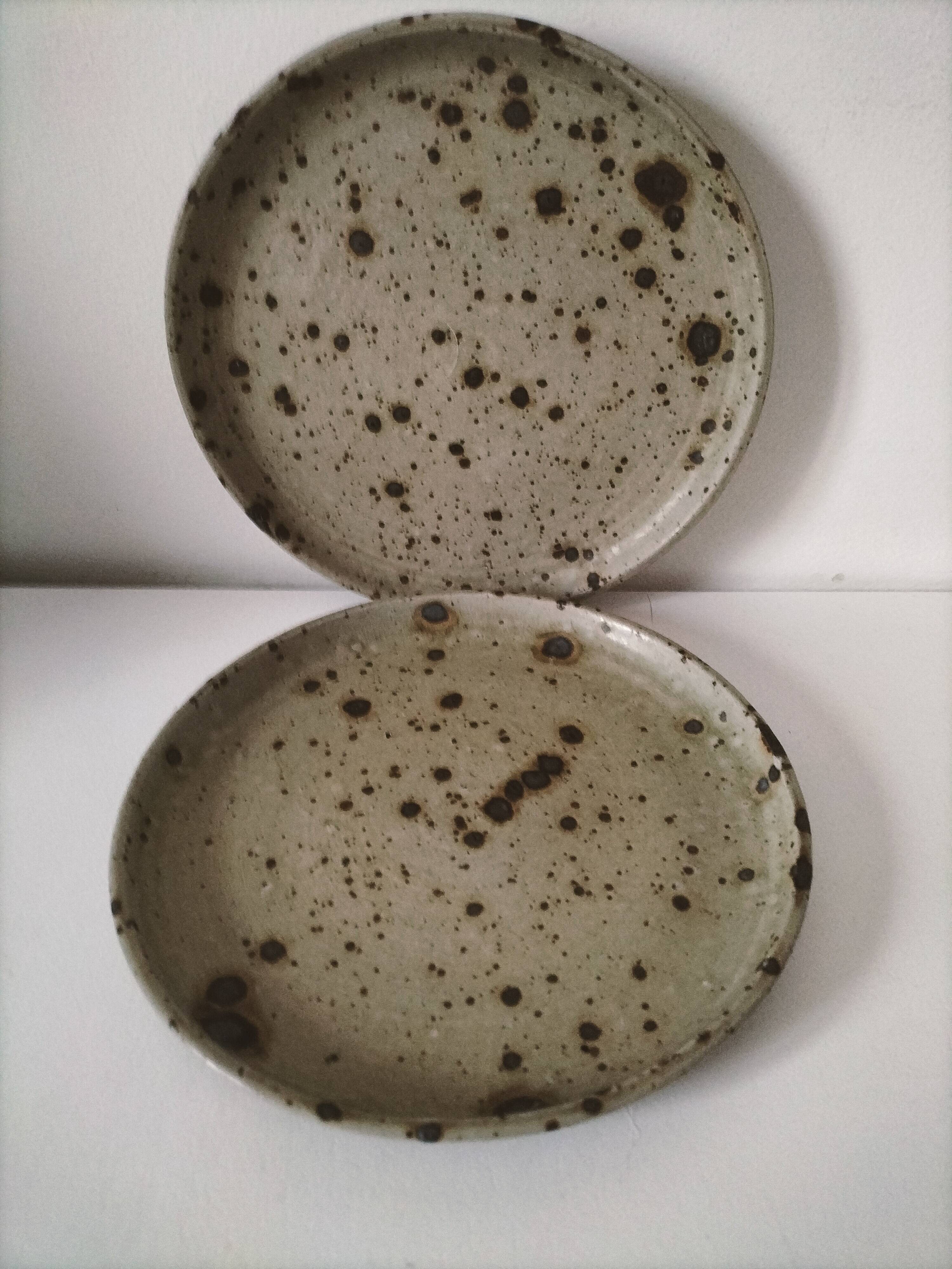 Set of two pyrite stoneware plates - natural mineral tones
