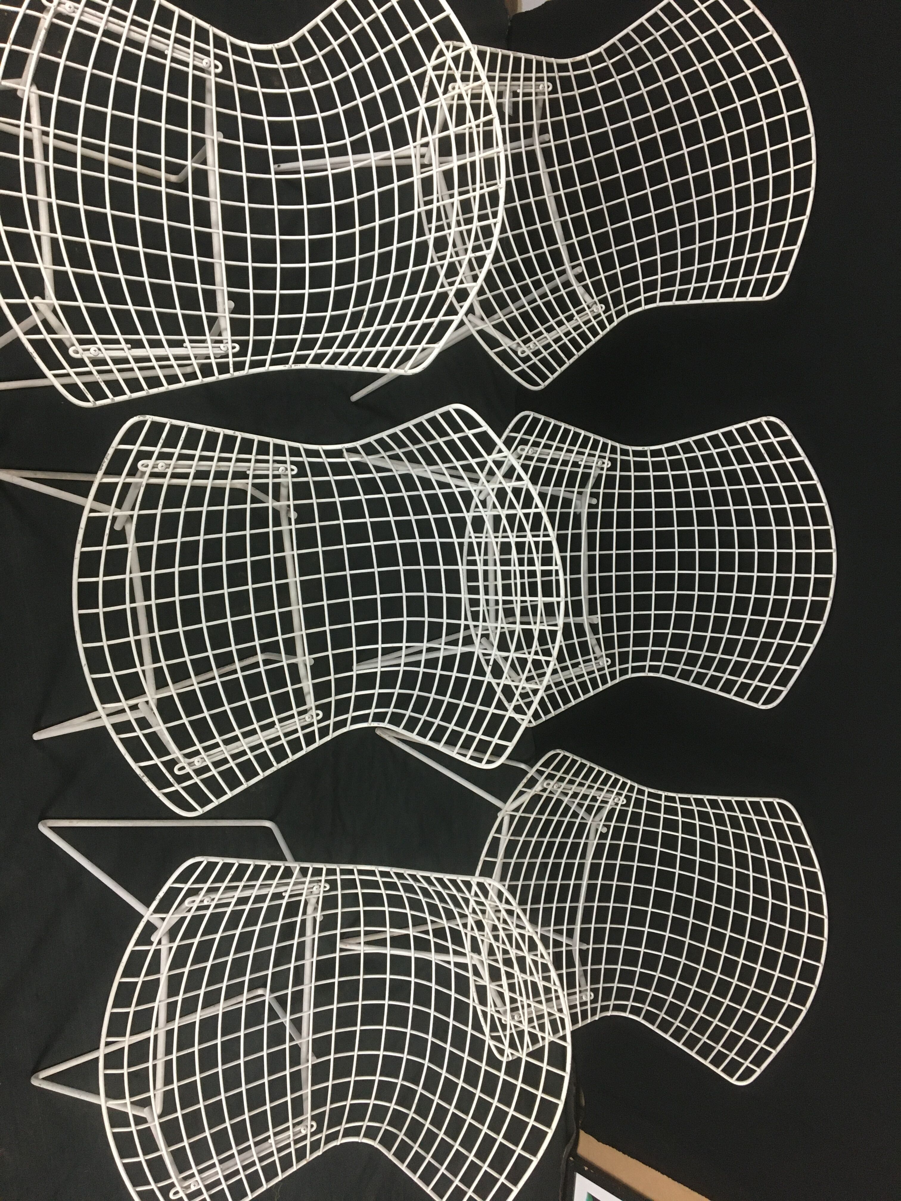 Series of 6 wire chairs by Harry Bertoia for Knoll International