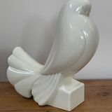 Pigeon Adnet