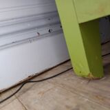 Green Parisian Buffet