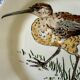 Service de table assiettes et plats Gien modèle grands oiseaux