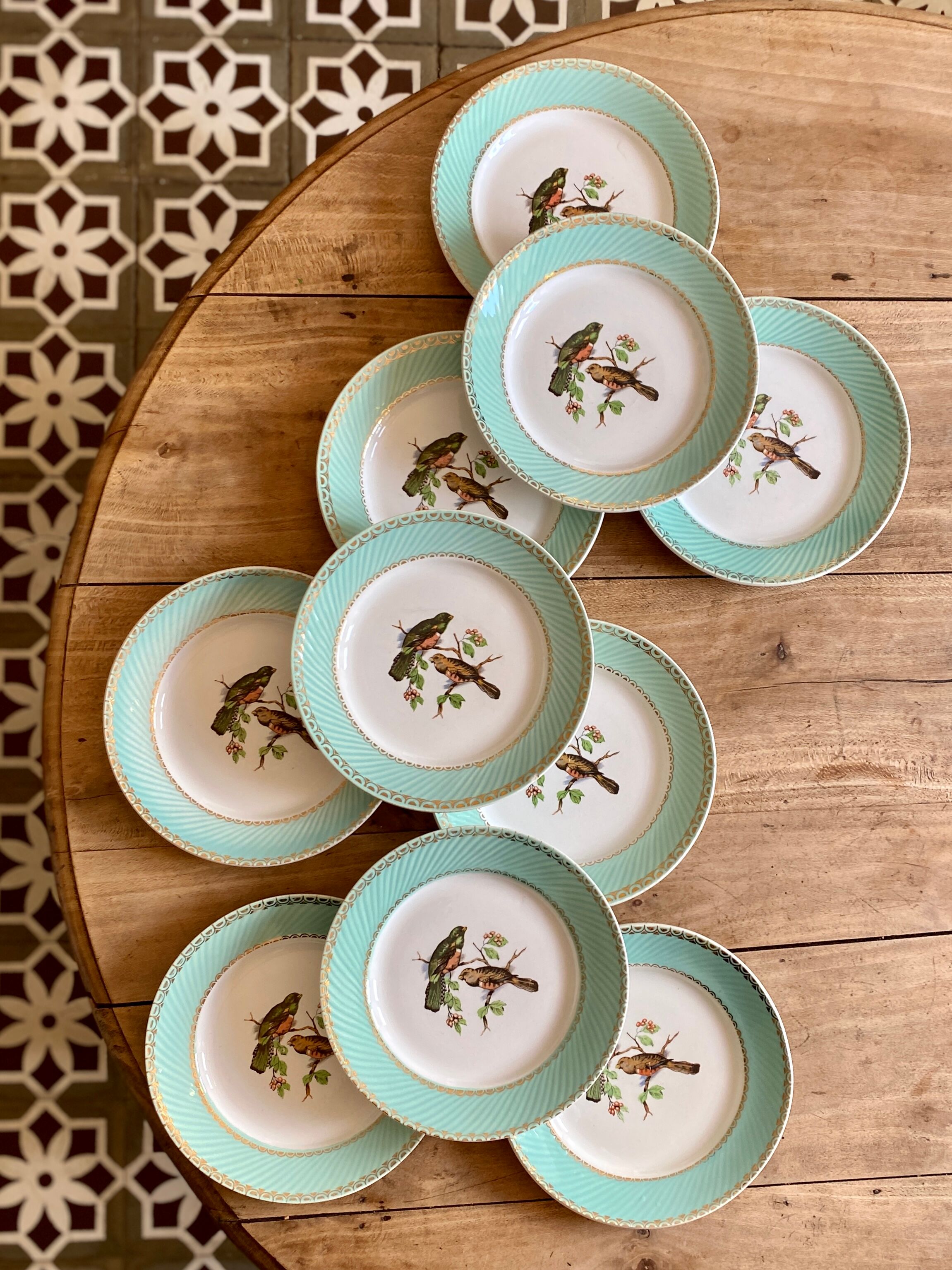 Set of 10 vintage flat plates with bird drawings