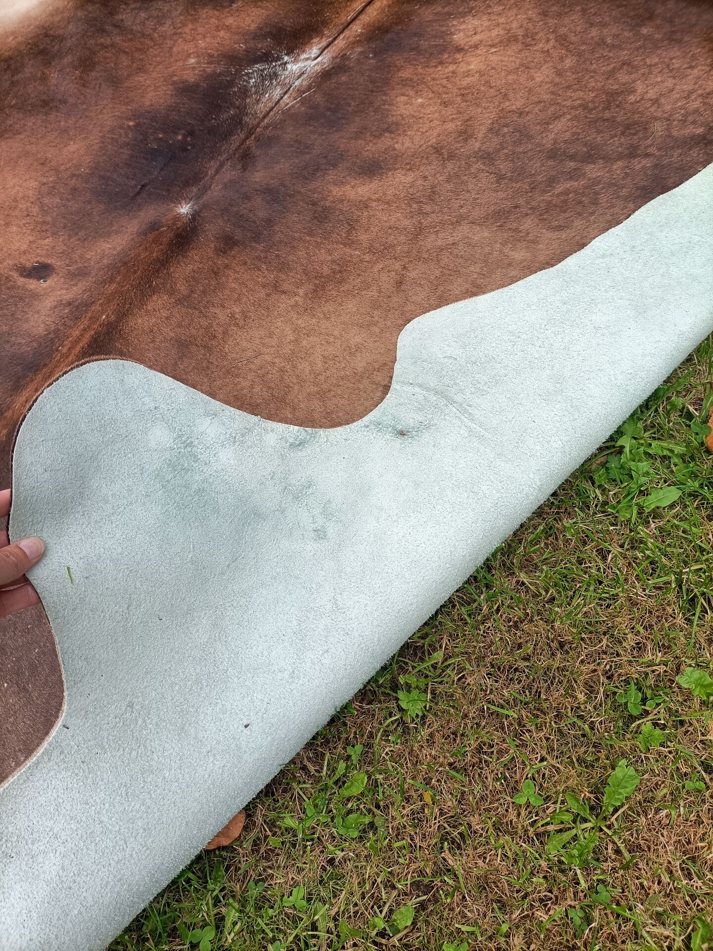 Cowhide Rug