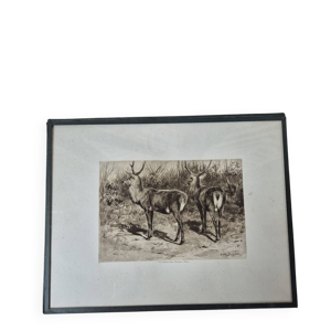 Gravure chasse cerfs - bonheur