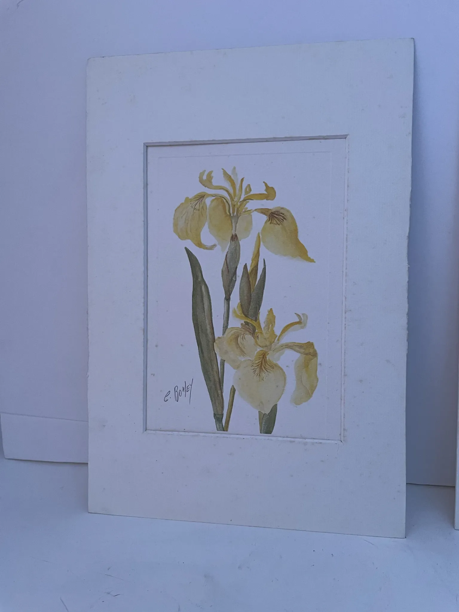 Duo d’aquarelles de Cecil Romey