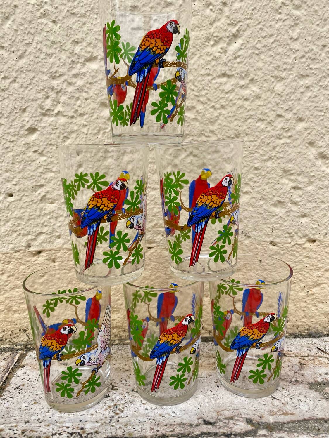 Six vintage parakeet glasses
